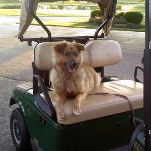 Meet your Posher, Ben